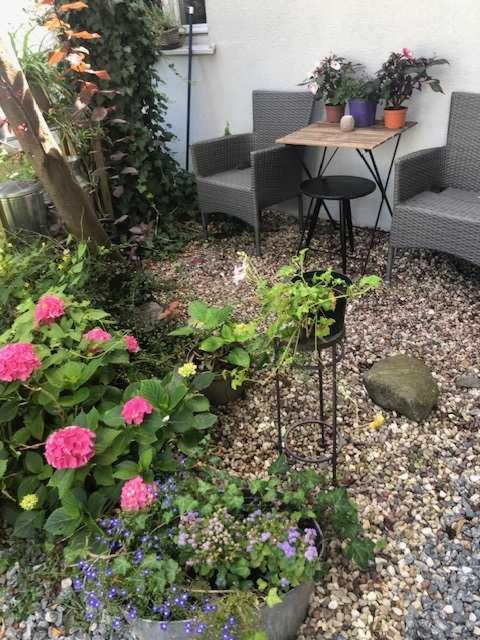 Apartament Haffnera 30 索波特 外观 照片